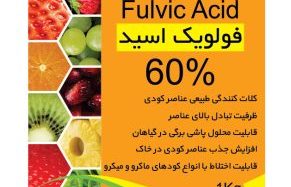بیماری شانکر در باغات