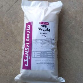 تنه سرخی درختان