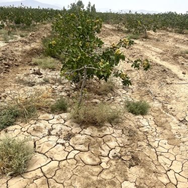 مدیریت بحران شوری