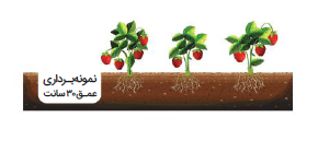 روش نمونه برداری برای آزمایش خاک مزارع و گلخانه
